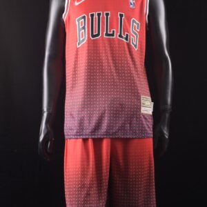 BULLS NIKE